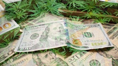 Ny Mmj money 338474719