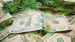 Ny Mmj money 338474719