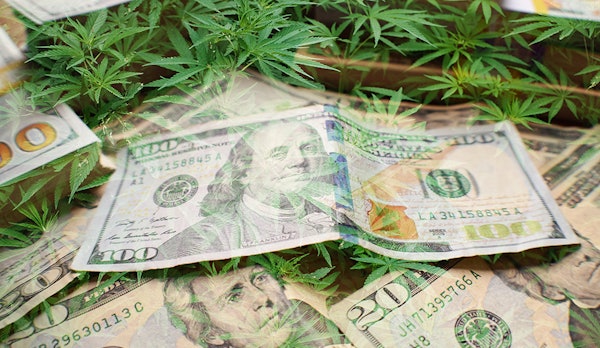 Ny Mmj money 338474719