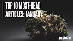 Top10 January2025 Display