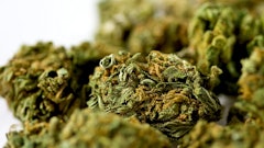 Virginia Sales Bill 13423282