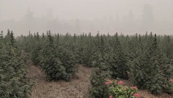 Smoke from the 2020 Slater Fire engulfs East Fork's 33-acre farm in southwest Oregon.