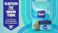 Reef Catch The High Tide 1600 X 900 1 1