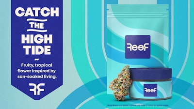Reef Catch The High Tide 1600 X 900 1 1