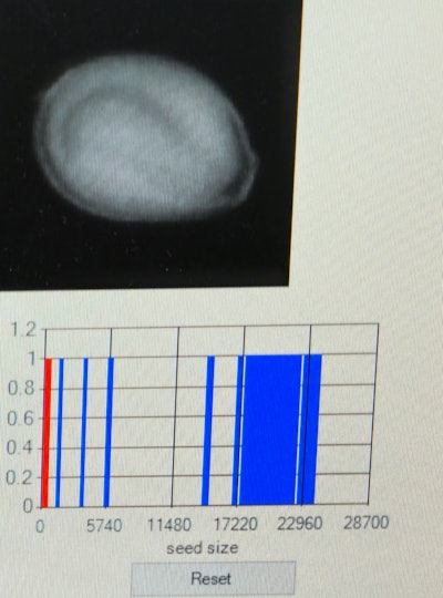 Press Release 03032025 Image Xray