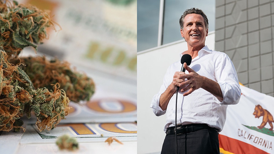photo of California’s Top Cannabis Regulator Suggests Governor Has Little to Do With Tax Increase image