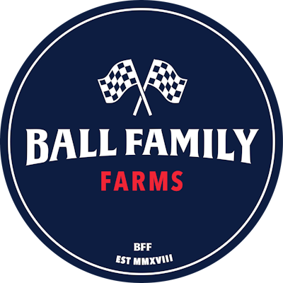 Bff og logo