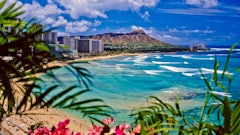 Hawaii 29497479