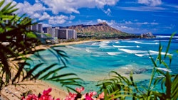 Hawaii 29497479