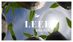 Leef Brands