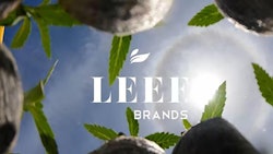 Leef Brands