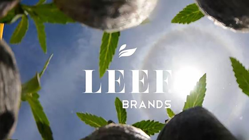 photo of LEEF Brands Begins Planting Salisbury Canyon Ranch, One of World’s Largest Cannabis Farms image