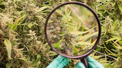 North Carolina 607773020