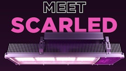 Scar Led Fixture