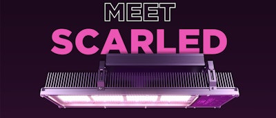 Scar Led Fixture