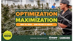 2404 Cbt Pipp Webinar Headerv2
