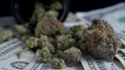 Ca Mj Money 397678117