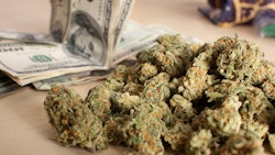 Calif mmj Money 42702888