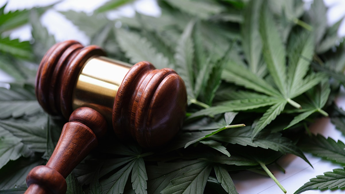 Herbal Alternatives Dispensary Founder Pleads Guilty to $1.2 Million in Federal Tax Evasion