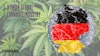 Germany Graphic