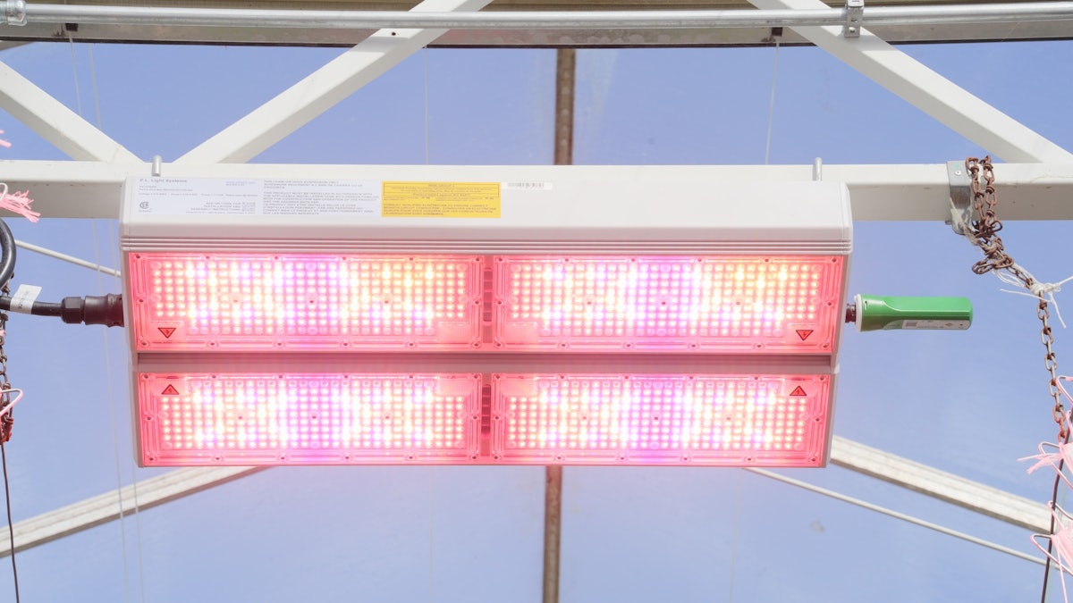 Dynamic LED Lighting: What Commercial Growers Should Know