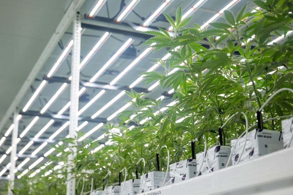 photo of How to (Accurately) Calculate ROI on Your Lighting Retrofit image