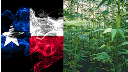 Texas Hemp