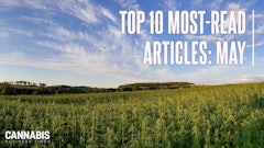 Top10 May2025