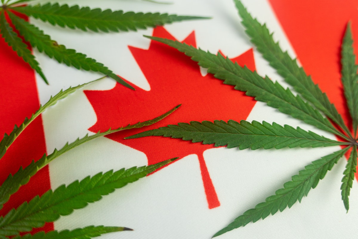 photo of What Canada’s Legal Cannabis Market Can Teach U.S. Producers and Policy Makers image
