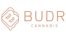 Budr Logo