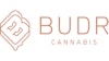 Budr Logo