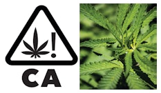 C Auniversal Symbol Merged