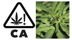 C Auniversal Symbol Merged