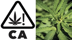 C Auniversal Symbol Merged