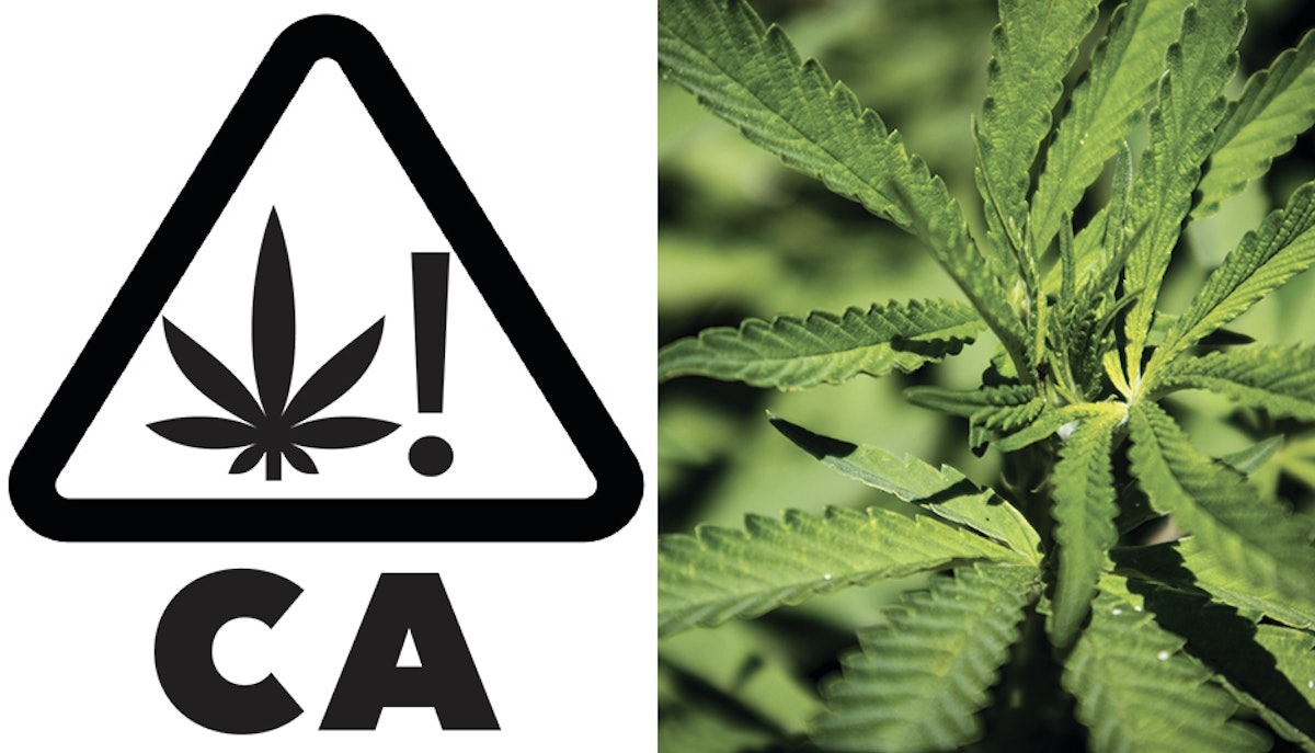 California Public Health Department Aims to Make Hemp THC Ban Permanent