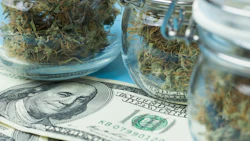 Money Mj 371005338