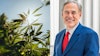 Texas Gov. Greg Abbott