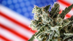 American Cannabis 679861553
