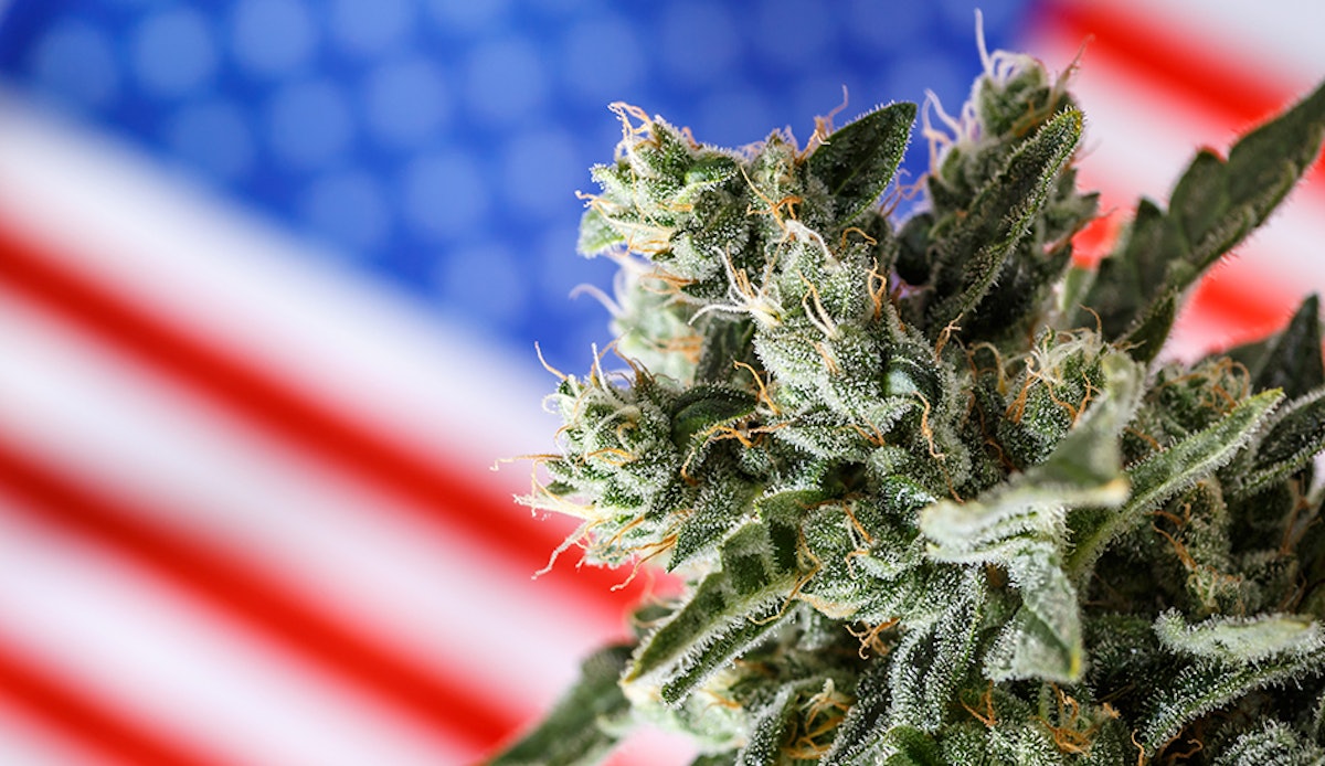 DEA Provides No Cannabis Rescheduling Update After 180 Days