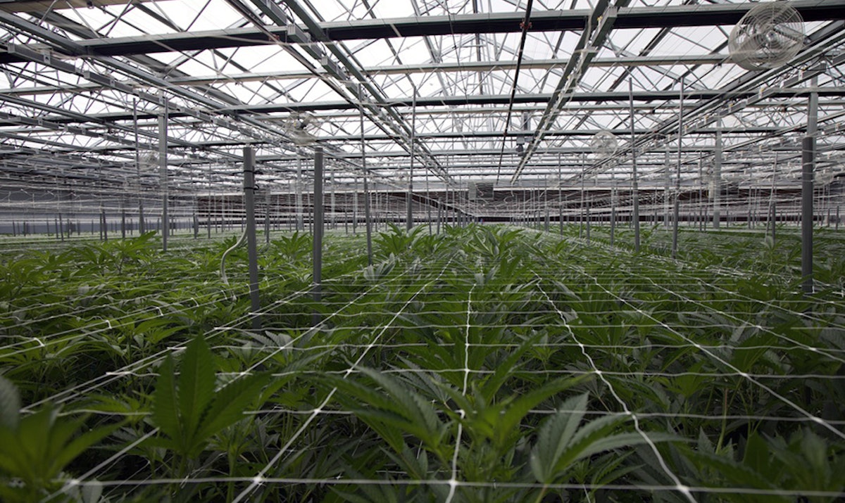 FOHSE Signs Exclusive 5-Year Master Service Agreement With Green Horizons