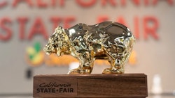 Golden Bear