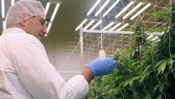 Delaware Gov. Matt Meyer toured MariMed's First State Compassion cannabis cultivation facility on July 30 in Milford.