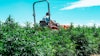 Hemp Senate 392041453