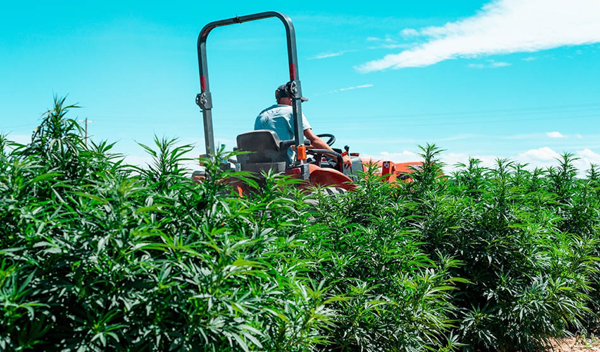 US Lawmakers Advance Bill to Ban Hemp Products With THC