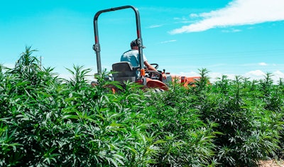 Hemp Senate 392041453