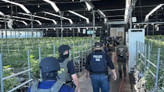 Federal agents execute warranted operations on July 10 at one of Glass House Farms' cannabis cultivation facilities in southern California.