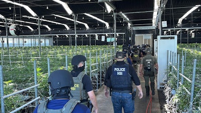 Federal agents execute warranted operations on July 10 at one of Glass House Farms' cannabis cultivation facilities in southern California.