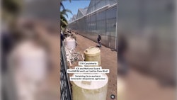 805 Immigrant Coalition posted this photo on Instagram stating: 'Carpinteria: Foothill Rd and Las Casitas Pass Blvd! 5601 Casitas Pass, Carpinteria, CA 93013. Both Glasshouse locations have multiple ICE vehicles and agents on the ground! Citizens show up to protect workers!'