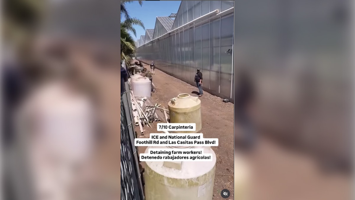 ICE Raids at 2 Glass House Cannabis Farms Pit Protesters Against Rubber Bullets, Smoke Grenades