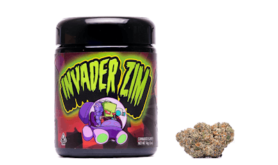 Invader Zim Package